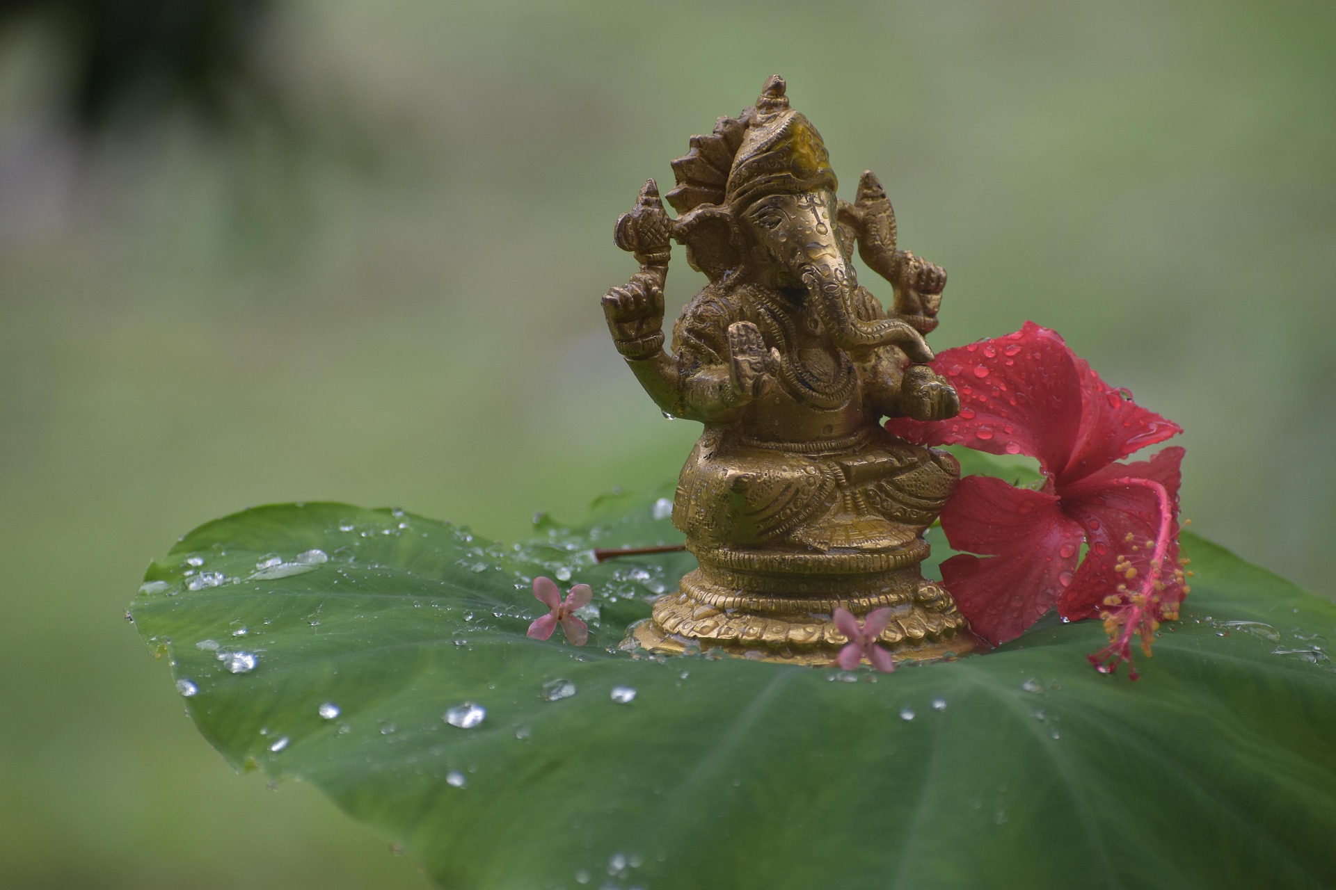 Jyotish Mani - Rooted in Tradition